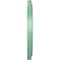 Ekena Millwork Traditional PVC Medallion (Canopies up to 7 1/2"), 13"OD x 3 1/2"ID x 1 1/4"P, Metallic Sea Mist CMP13TRFSM - alternate 4